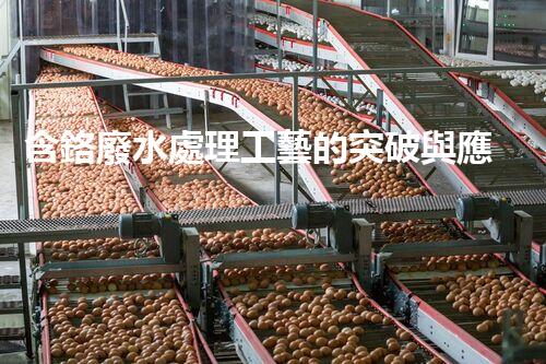 含鉻廢水處理工藝的突破與應(yīng)用！